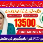 BISP 8171 13500 Payment May 2025