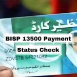 check-bisp-13500-payment-status